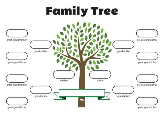 family tree assignment