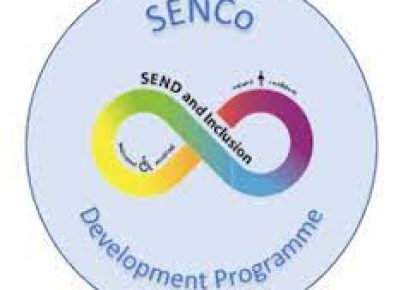 The Role of SENCO