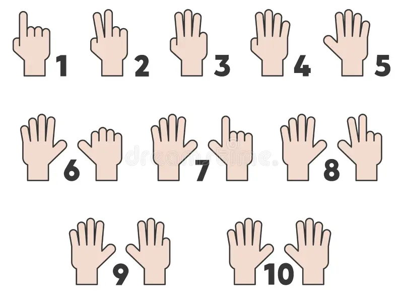 Hands and Numbers 1-10 Counting Activity Template - Pedagogue
