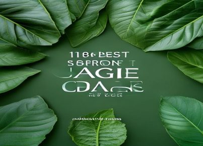 featured-image-1783336719243